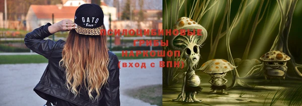 дживик Пестово