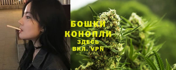 дживик Пестово