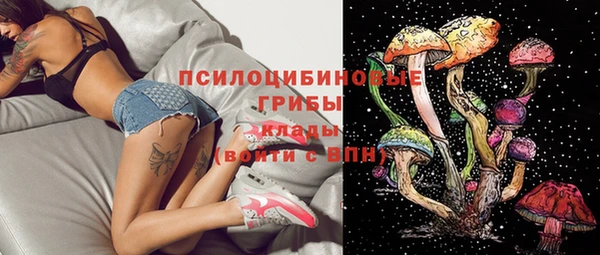 дживик Пестово