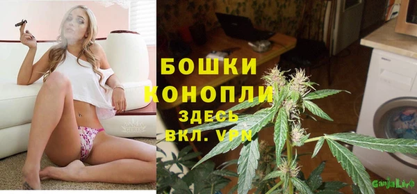 мдпв Переславль-Залесский