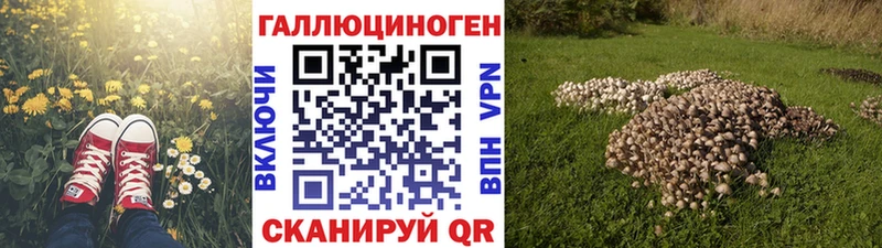 Галлюциногенные грибы Psilocybe omg ONION Теберда