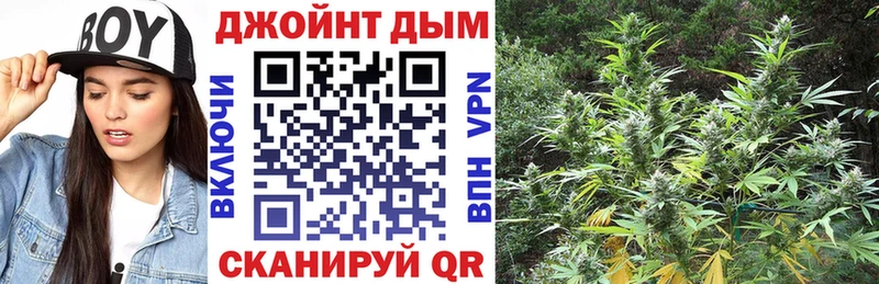 Бошки марихуана ГИДРОПОН  omg сайт  Теберда 